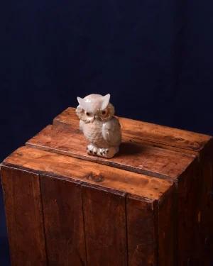 Owl Decor