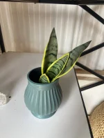 Plum Green Decorative Plastic Vase – Small | Konobora Crafts